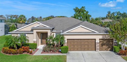 424 Lone Heron Way, Winter Garden