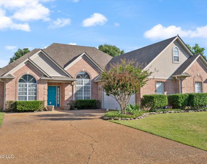 4541 Brighton Circle Circle, Southaven