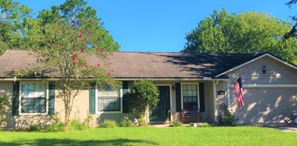 10920 Buggy Whip Drive, Jacksonville