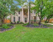 18 Cinnamon Teal Place, The Woodlands image