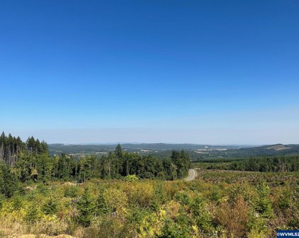 Valsetz Rd, Falls City