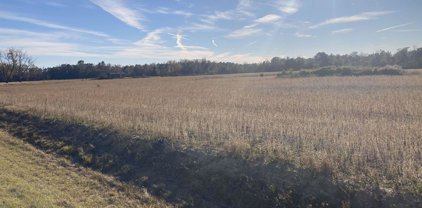 20 AC LOT #2 Pamplico Hwy., Pamplico
