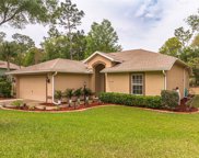 9728 Sw 196th Circle, Dunnellon image