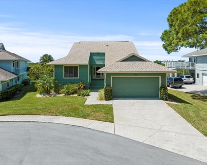 1024 Marsh View Lane, Tarpon Springs