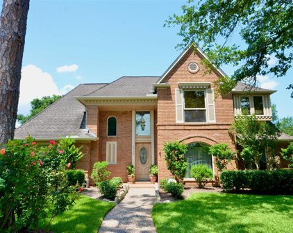 1715 White Wing Circle, Friendswood