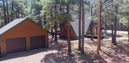2540 Middle Loop, Forest Lakes
