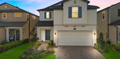 19932 Stone Pine Circle, Lutz