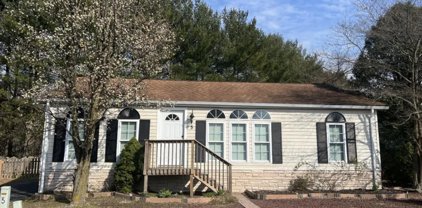 5 Snow Chief Court, Howell