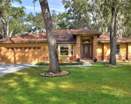 5735 Buck Run Drive, Lakeland