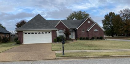 7354 Ivy Trails Cove, Olive Branch