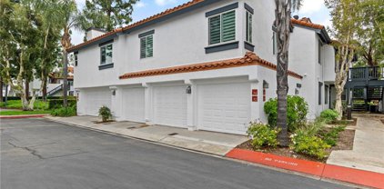 52 Dianthus, Rancho Santa Margarita