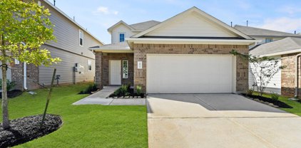 2915 August Mist Court, Conroe