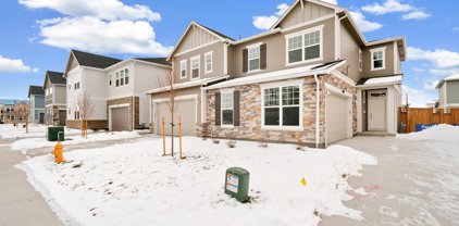 4460 Haymill Ct, Timnath