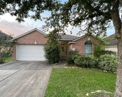 5815 Orchard Spring Court, Pearland