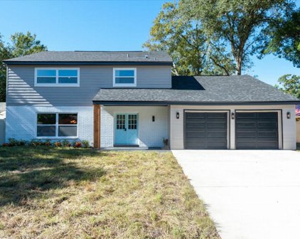 14716 Carnation Drive, Tampa