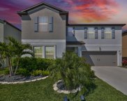 12959 Wildflower Meadow Drive, Riverview image