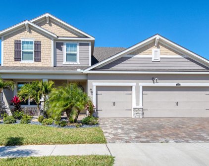 12913 Satin Lily Drive, Riverview