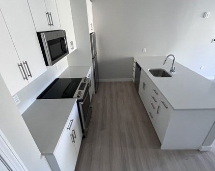 157 Chestnut Unit 201, Chelsea
