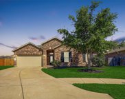 23510 Blue Prato Court, Katy image