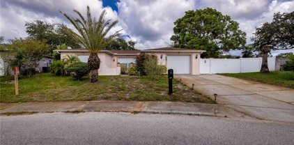 9100 Barrington Lane, Port Richey