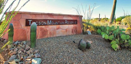5575 W Tucson Mountain Unit #53, Marana