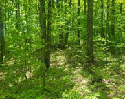Cutover Drive, Elmira image