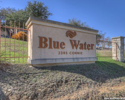 2305 Connie Dr Unit 203, Canyon Lake