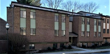 1809 Snow Meadow   Lane Unit #101, Baltimore