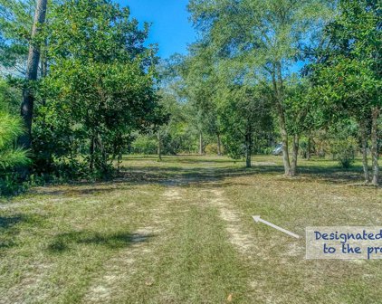 461 Don Bishop Road, Santa Rosa Beach
