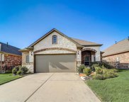 21330 Shadbush Avenue, Porter image