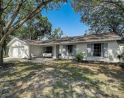 6712 Jennifer Drive, Temple Terrace image