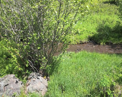 #22 Tract, 160 Acres +/-, Helmville