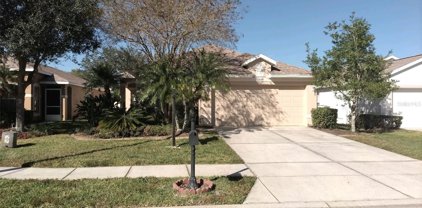 2918 Banyan Hill Lane, Land O' Lakes