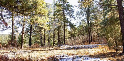3292 Bull Elk, Pagosa Springs