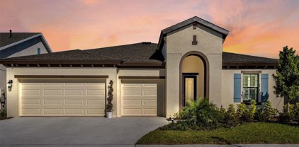 5408 Wayfarer Avenue, Apollo Beach