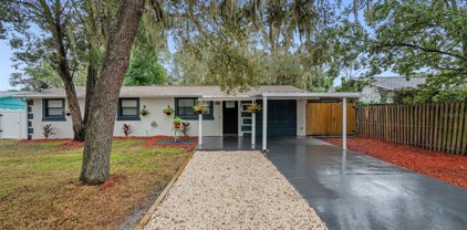 11115 Stafford Lane, Riverview