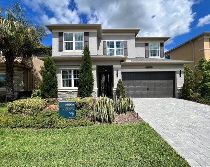 3454 Great Banyan Way, Wesley Chapel