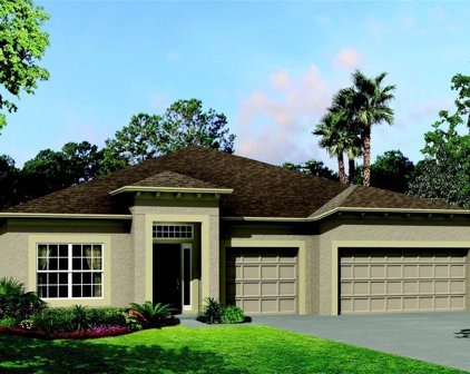 33258 Sycamore Leaf Drive, Wesley Chapel