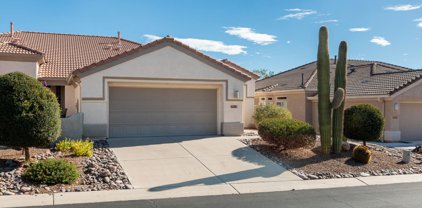 13118 N Desert Flora, Marana
