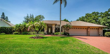 518 Crystal Grove, Lutz