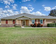 21613 Belgian Court, Mount Dora image