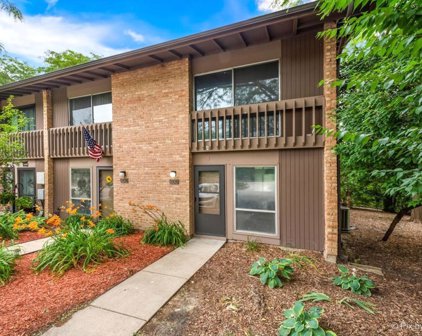 5926 Meadow Drive Unit #149, Lisle