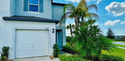 7601 Ginger Lily Court, Tampa