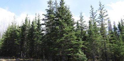 137 Rinehart Street, Soldotna