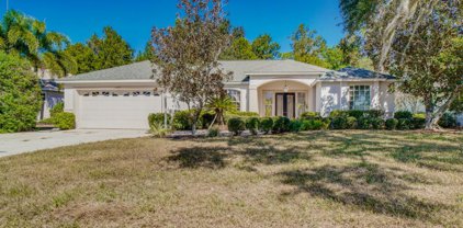 11215 Pine Lilly Place, Lakewood Ranch