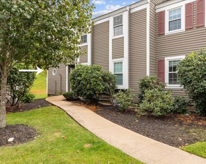 152 Shaw Farm Rd Unit 152, Canton