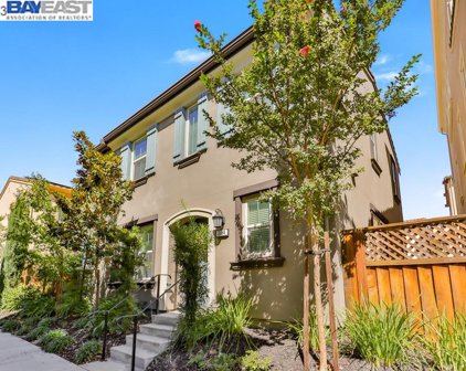 3184 Vittoria Loop, Dublin