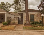 137 Old Bridge Lake, Houston image
