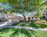 15604 Ibiscrest Court, Lithia image