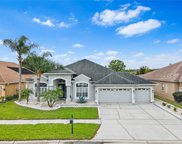 10121 Queens Park Drive, Tampa image